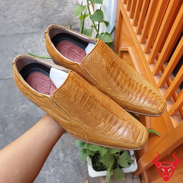 Giày Tây Da Đà Điểu Chân Gai Vàng Bò GB06D1: Sự độc đáo và nổi bật từ chất liệu da đà điểu