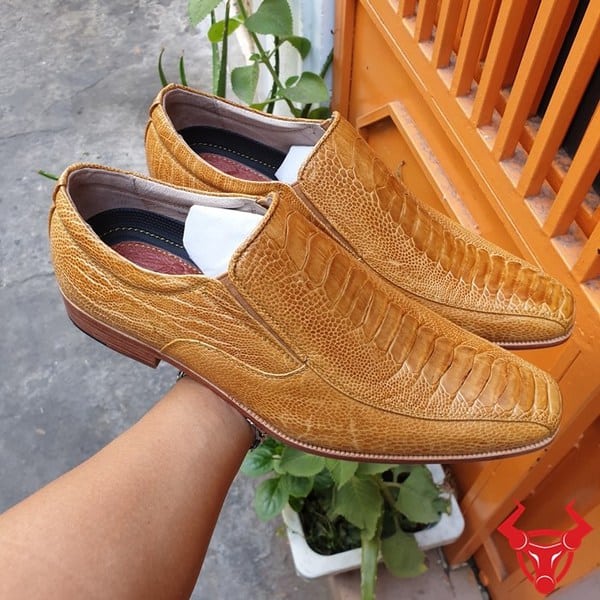 Giày Tây Da Đà Điểu Chân Gai Vàng Bò GB06D1 - Sự lựa chọn đẳng cấp cho quý ông sành điệu