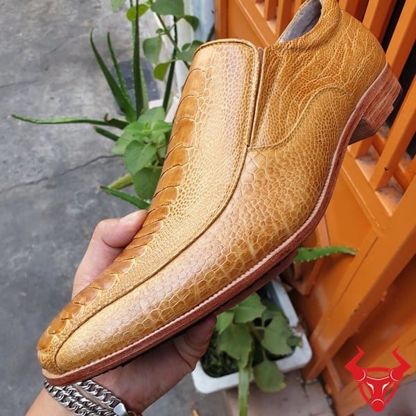 Giày Tây Da Đà Điểu Chân Gai Vàng Bò GB06D1: Sự kết hợp độc đáo giữa chất liệu da đà điểu và phong cách thời trang