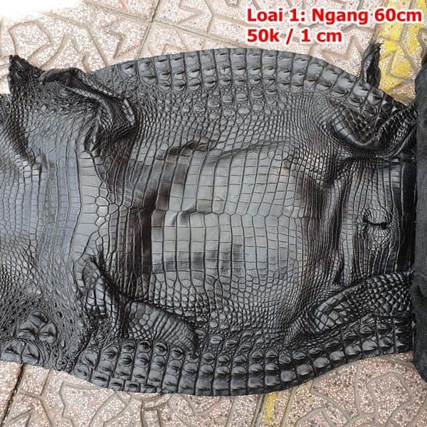 Đồ chơi mô hình cá sấu châu mỹ  Shopee Việt Nam