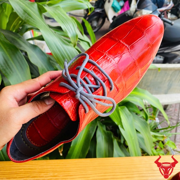 Giày Tây Da Cá Sấu GAA8 – Thời Thượng Đẳng Cấp Cao Cấp Giày tây đóng thủ công da bụng cá sấu GAA8 màu đỏ, dây buộc xám, đặt trên bàn gỗ, nền lá xanh, logo đỏ góc phải.