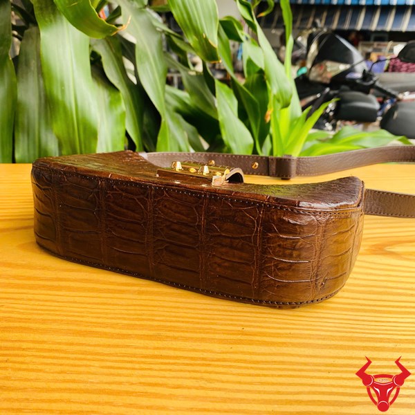 Thời Trang & Sang Trọng Với Túi Đeo Nữ HM-19 Túi đeo HM-19 kiểu dáng thời trang, màu nâu bóng, khóa kim loại.