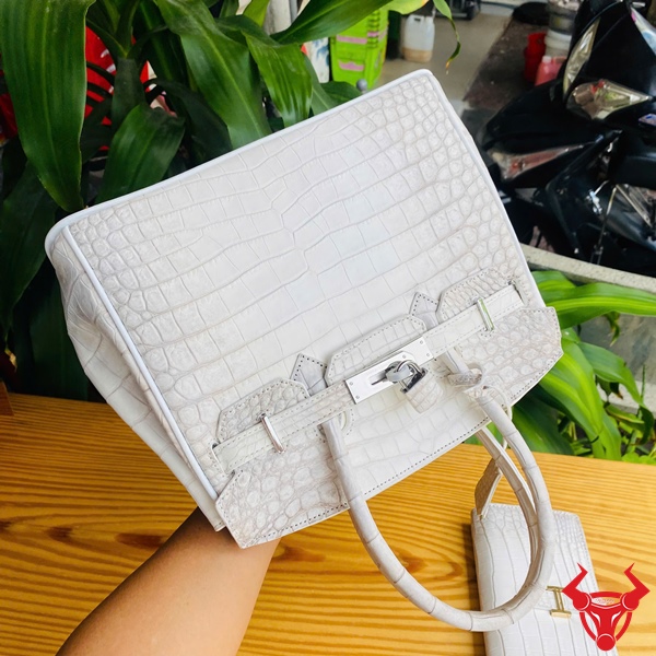 Đỉnh Cao Thời Trang Nữ – Túi Da Cá Sấu TCA8 Bạch Tạng Hình ảnh túi xách da cá sấu thật – TCA8 dành cho nữ doanh nhân.