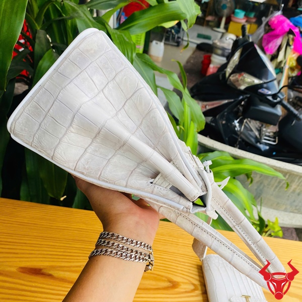 TCA8 – Phụ Kiện Hoàn Hảo Cho Quý Cô Thành Đạt Túi xách thủ công từ da cá sấu cao cấp – TCA8 sang trọng.