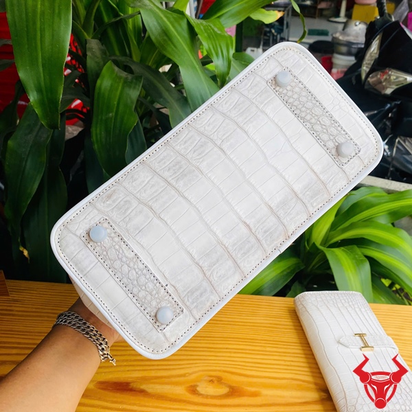 Túi Xách TCA8 – Phong Cách Thanh Lịch, Cá Tính Nổi Bật Hình ảnh túi da cá sấu trắng – TCA8 dành cho quý cô cá tính.