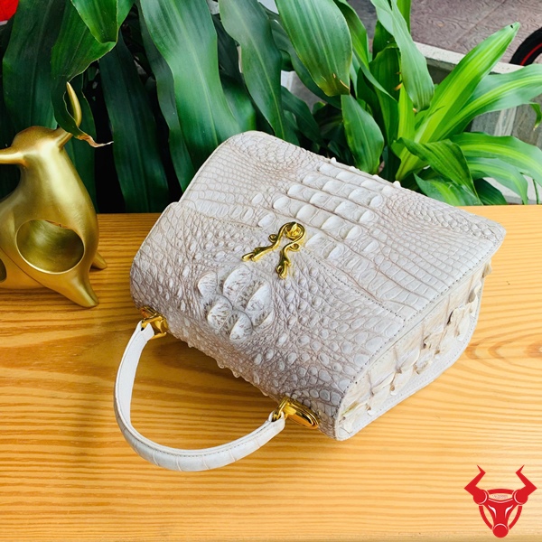Túi Xách HM-1A4 - Sang Trọng Và Địa Vị Tuyệt Đối Hình ảnh túi xách HM-1A4 sang trọng, đặt trên bàn với cây xanh.