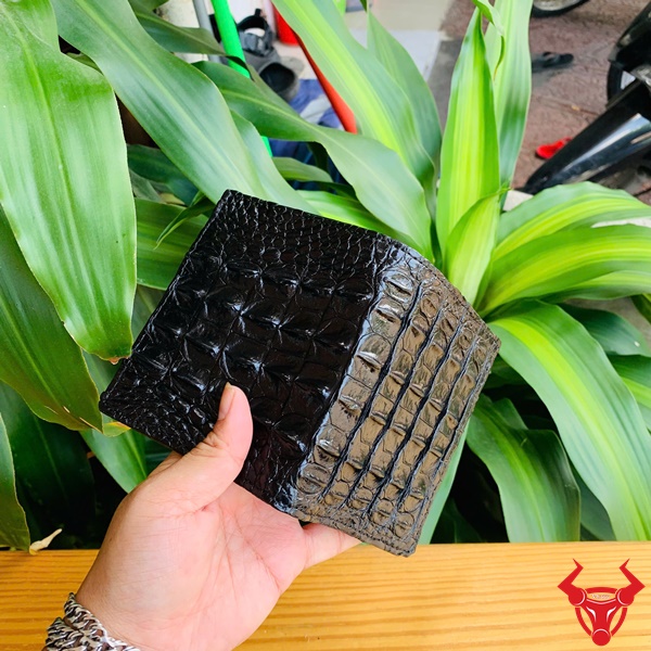 Combo Ví Cá Sấu Gai Lưng Nguyên Miếng – Thời Trang Quý Ông Ví cá sấu gai lưng – Tôn vinh vẻ đẹp tự nhiên và thời trang.