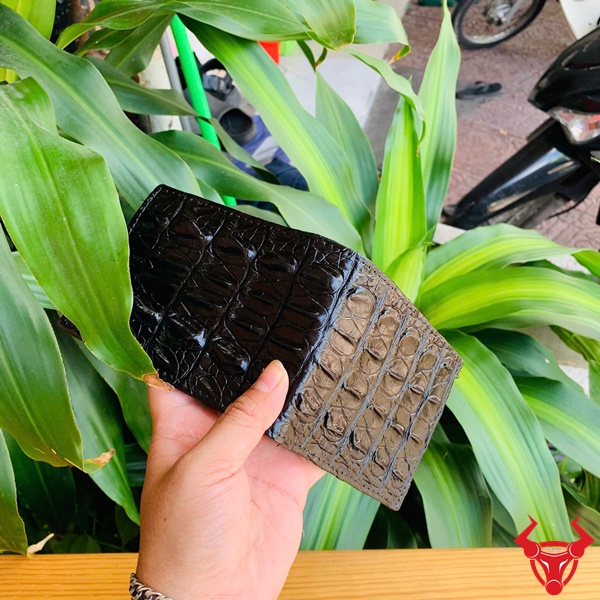 Combo Ví Da Cá Sấu Lưng Gai – Chất Lượng Thật, Giá Trị Thật Combo ví cá sấu độc đáo, thời trang cá tính.