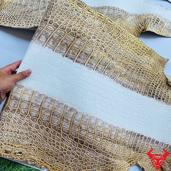 Da Cá Sấu Himalaya Nhũ Vàng Nguyên Liệu Xa Xỉ Hàng Hiệu Hai tấm da cá sấu Himalaya nhũ vàng trên nền trắng và xanh, với vảy vàng óng ánh.