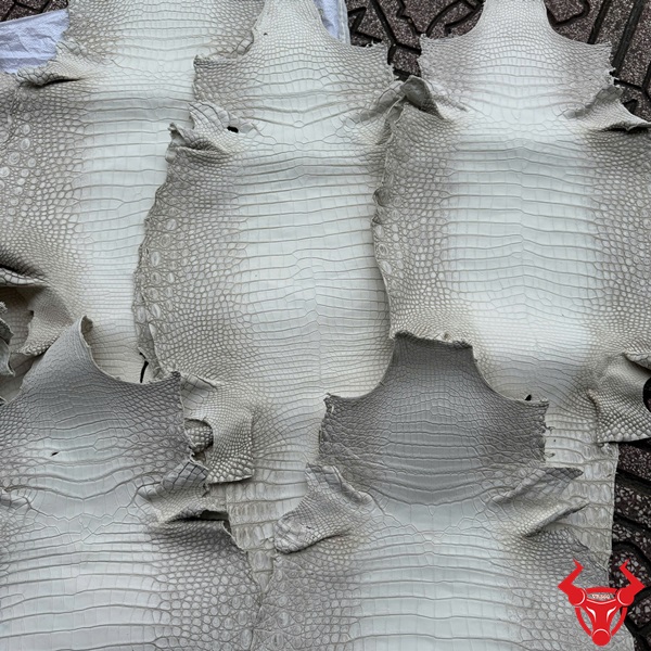 Chất liệu da cá sấu trắng thuộc – Độ bền vượt trội Da cá sấu thuộc bạch tạng size nhỏ bỏ gai, vân rõ nét