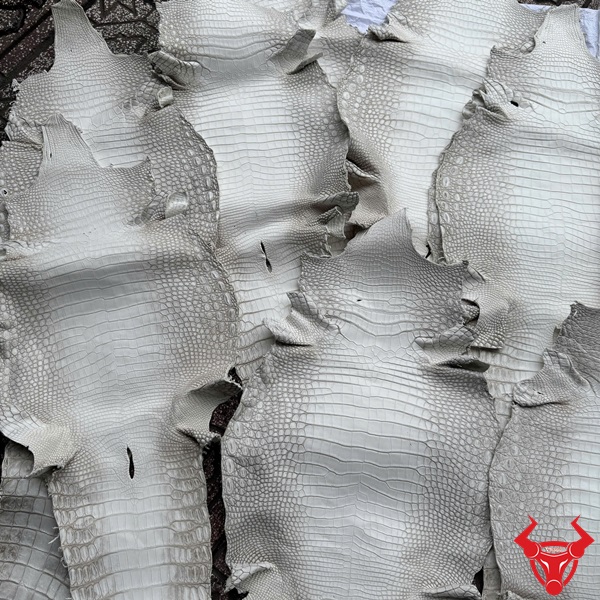 Da cá sấu size nhỏ bỏ gai – Dễ dàng gia công Da cá sấu trắng bạch tạng cao cấp, phù hợp thời trang sang trọng