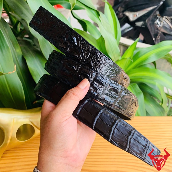 Dây Lưng Da Cá Sấu Nam Cho Doanh Nhân Thành Đạt Thắt lưng da cá sấu liền nguyên gù lưng dành cho nam giới.