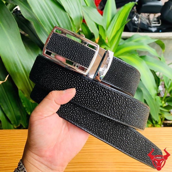 Thắt Lưng 4cm VCA15 - Thể Hiện Sang Trọng Và Đẳng Cấp Lịch Lãm Hình ảnh thắt lưng da cá đuối TLA17, nhỏ gọn, sang trọng, thể hiện đẳng cấp và lịch lãm trên bàn gỗ.