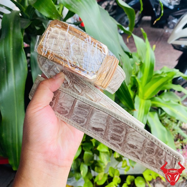 Thắt Lưng Cá Sấu Bạch Tạng Phong Cách Đẳng Cấp Thượng Lưu Thắt lưng da cá sấu bạch tạng bản 3.5cm, cuộn tròn, tay cầm, khóa vàng trong bao bì, nền cây xanh.