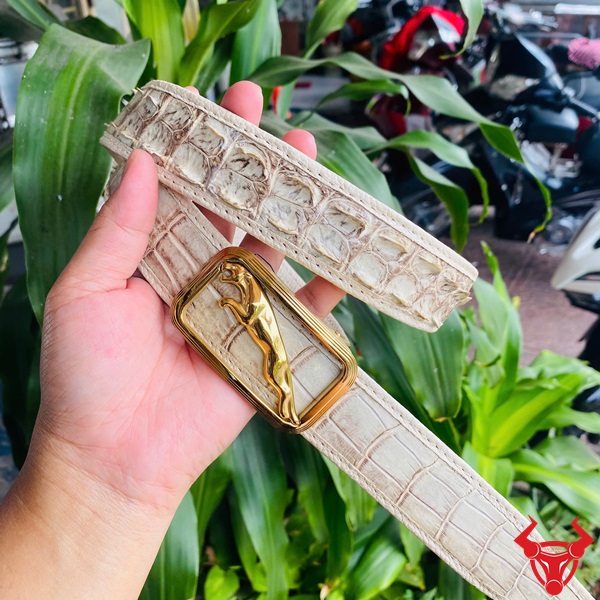 Thắt Lưng Cá Sấu Bạch Tạng Khóa Thép Phong Cách Lịch Lãm Đẳng Cấp Thắt lưng da cá sấu bạch tạng với khóa thép không gỉ, tay cầm, nền cây xanh và xe máy.