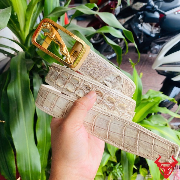Thắt Lưng Cá Sấu Bạch Tạng Khóa Thép Lịch Lãm Trong Từng Chi Tiết Thắt lưng da cá sấu bạch tạng với khóa thép không gỉ, tay cầm, nền cây xanh và xe máy.