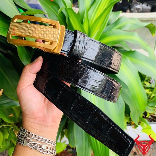 TSK33 – Thắt Lưng Nam Cao Cấp Da Cá Sấu Chính Hãng Thắt lưng da cá sấu phối khóa vàng đẳng cấp TSK33.