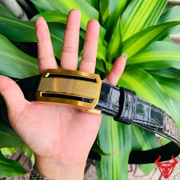Thắt Lưng Cá Sấu Thật Khóa Vàng Lịch Lãm Cho Doanh Nhân Thắt lưng nam da cá sấu khóa vàng cao cấp TSK33.