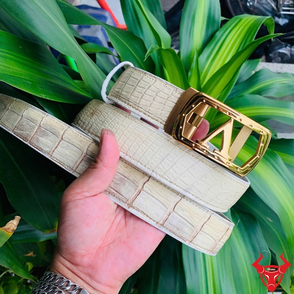 Thắt lưng TSK20 phong cách quý ông hiện đại Thắt lưng màu trắng ngà da cá sấu kết hợp khóa kim loại mạ vàng.