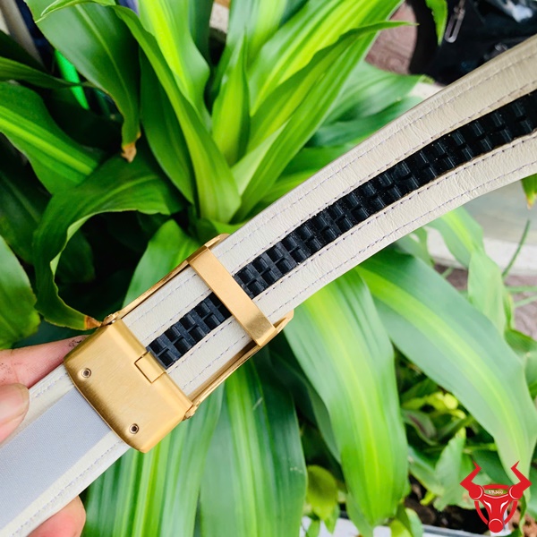 Quà tặng thời trang nam đẳng cấp TSK20 Thắt lưng da cá sấu cao cấp TSK20 – phù hợp mọi tình huống.