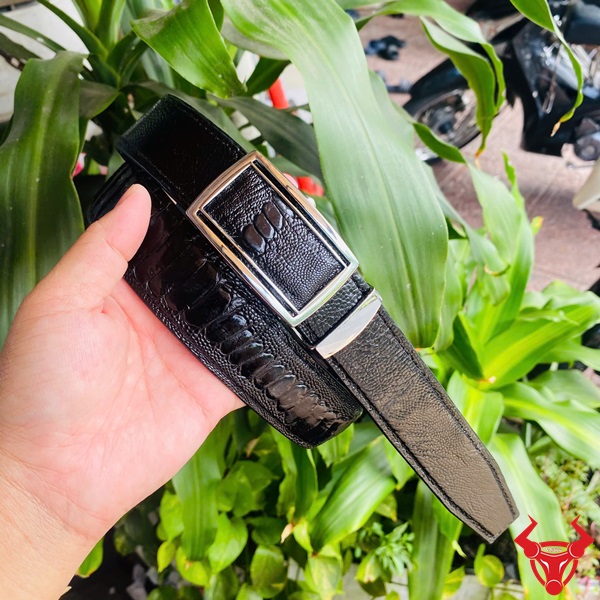 Thắt Lưng Da Chân Đà Điểu Khóa Trắng Cao Cấp Trong Từng Thiết Kế Thắt lưng da chân đà điểu với mặt khóa trắng TLD1, tay cầm, nền lá xanh và xe máy.