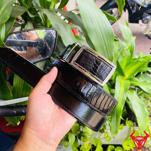 Thắt Lưng Chân Đà Điểu Khóa Trắng Thời Trang Phong Cách Thượng Lưu Thắt lưng da chân đà điểu với khóa trắng TLD1, tay cầm, nền cây xanh và xe máy.