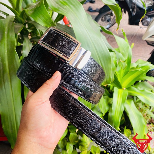 Thắt Lưng Da Chân Đà Điểu Khóa Trắng Phong Cách Cao Cấp Độc Đáo Thắt lưng da chân đà điểu với mặt khóa trắng TLD1, tay cầm, nền lá xanh và xe máy.