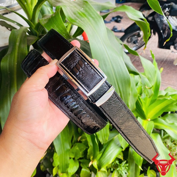 Thắt Lưng Da Chân Đà Điểu Khóa Trắng Thời Trang Cao Cấp Phong Cách Thắt lưng da chân đà điểu với mặt khóa trắng TLD1, tay cầm, nền lá xanh và xe máy phía sau.