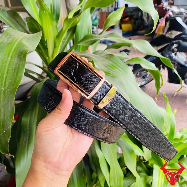 Thắt Lưng Da Đà Điểu Gai Khóa Vàng Cao Cấp Trong Từng Thiết Kế Thắt lưng da đà điểu gai chân với mặt khóa vàng TLD1, tay cầm, nền lá xanh và xe máy.