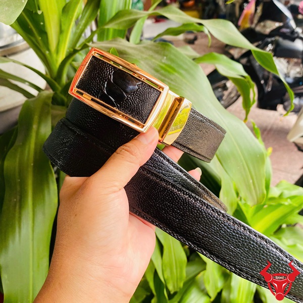 Thắt Lưng Đà Điểu Gai Khóa Vàng Thời Trang Phong Cách Thượng Lưu Thắt lưng da đà điểu gai chân với khóa vàng TLD1, tay cầm, nền cây xanh và xe máy.