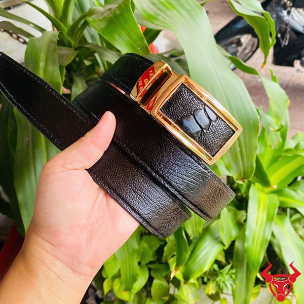 Thắt Lưng Đà Điểu Gai Khóa Vàng Thời Trang Cao Cấp Vượt Trội Thắt lưng da đà điểu gai chân với khóa vàng TLD1, tay cầm, nền cây xanh và xe máy.
