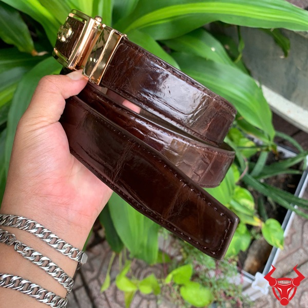 Đẳng cấp từ chi tiết – Thắt lưng cá sấu handmade TLA9B2 Thắt lưng da cá sấu thật màu nâu, mặt khóa vàng cá tính
