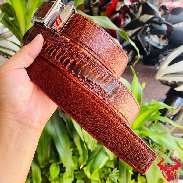 Phong cách lịch lãm với thắt lưng đà điểu nâu đỏ đậm Thắt lưng nam cao cấp da đà điểu màu nâu đỏ đậm