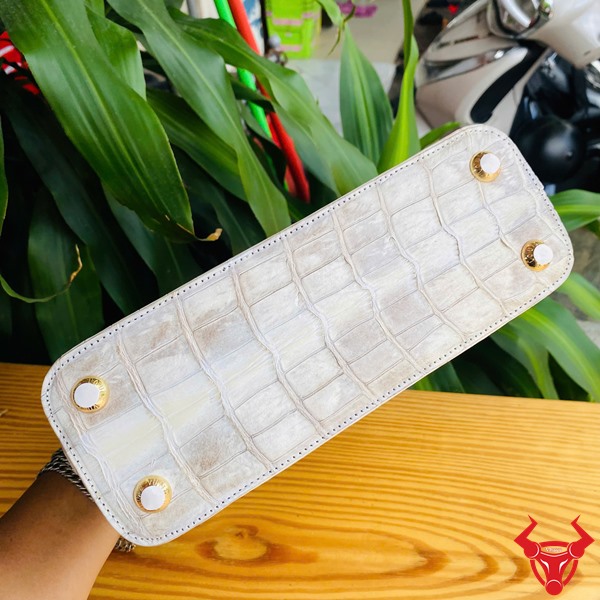 Túi Màu Trắng Đen VCA15 - Quý Phái, Quyền Lực Và Phong Cách Túi xách da cá sấu bạch tạng, thiết kế tinh tế, thể hiện quyền lực và quý phái trước nền tự nhiên.