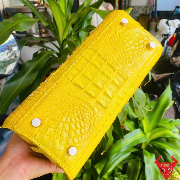 Túi da cá sấu vàng cao cấp – Biểu tượng của đẳng cấp Túi xách thời trang nữ da cá sấu, màu vàng nổi bật