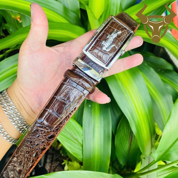 Thắt lưng bản lớn da cá sấu – thiết kế tinh tế, đậm chất nam tính Thắt lưng cá sấu dây liền nâu vân lớn, khóa kim trắng, bền đẹp vượt thời gian
