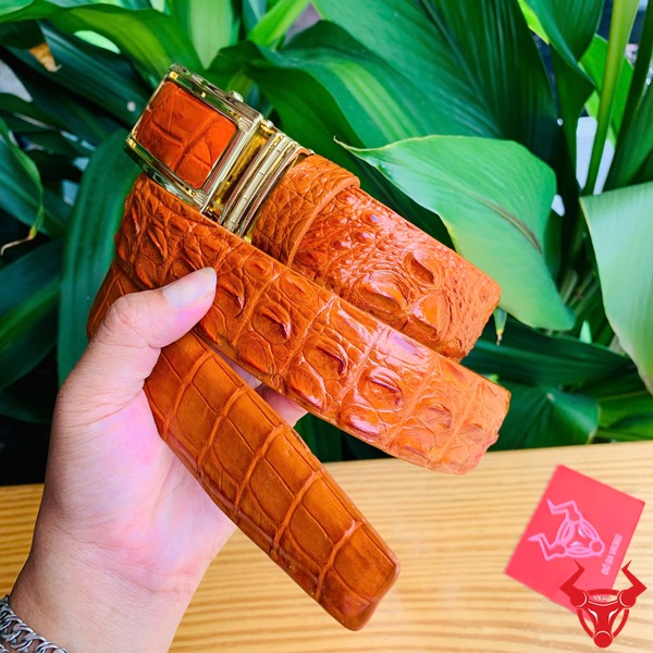 Thắt Lưng Da Cá Sấu Gù TLA4B2 Màu Bò Cam Cao Cấp Thắt lưng cá sấu gù màu bò cam mặt khóa vàng TLA4B2