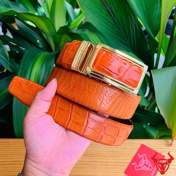 Thắt Lưng Cá Sấu Liền Da Bụng TLA9B2 Màu Bò Cam Cao Cấp Thắt lưng cá sấu bụng liền màu bò cam TLA9B2