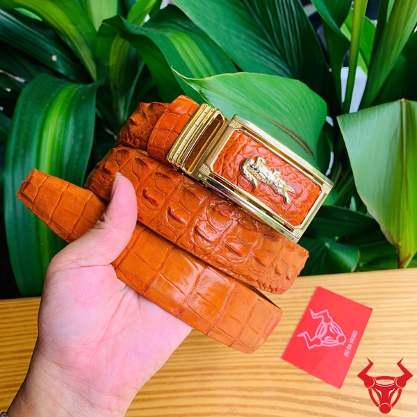 Thắt Lưng Liền Da Cá Sấu Nguyên Con TLA4B2 Màu Bò Cam Cao Cấp Thắt lưng cá sấu TLA4B2 màu bò cam khóa cá sấu