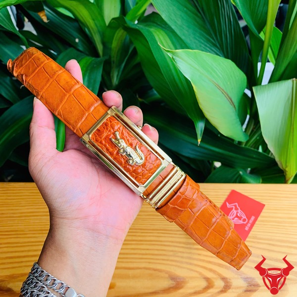 Thắt Lưng Liền Da Cá Sấu Màu Bò Cam TLA4B2 Cao Cấp Sang Trọng Thắt lưng liền da cá sấu màu bò cam TLA4B2 sang trọng