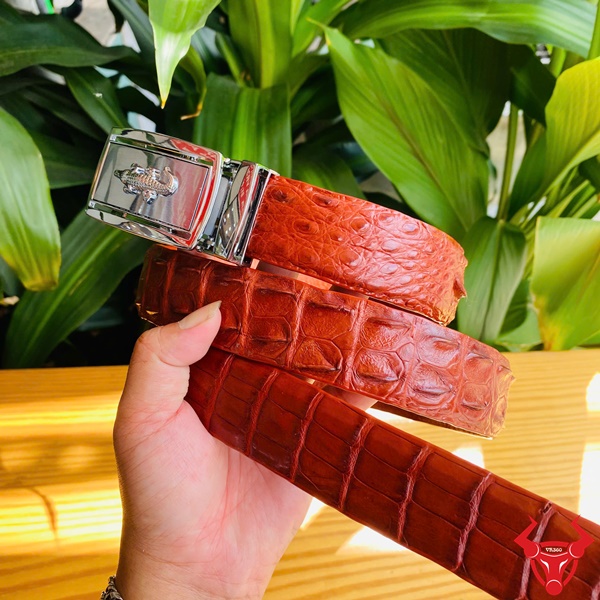 Thắt Lưng Liền Da Cá Sấu Màu Nâu Đỏ 3,5cm Khóa Trắng Cao Cấp Thắt lưng cá sấu liền màu nâu đỏ cho nam.