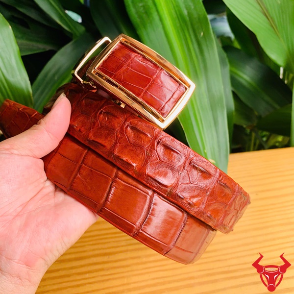 Thắt Lưng Nam Thời Trang – Da Cá Sấu Nối Màu Nâu Đỏ Thắt lưng nam cao cấp cá sấu nối màu nâu đỏ.