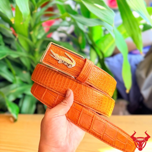 Thắt lưng da cá sấu Thái Lan TSK135 màu vàng cam Thắt lưng da cá sấu Thái Lan TSK135 màu vàng cam cao cấp