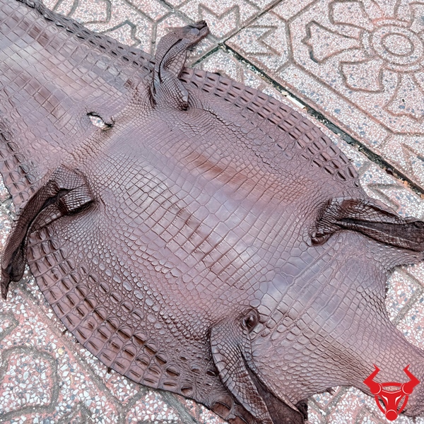 Da Cá Sấu Nguyên Tấm Màu Nâu Đất Bền Đẹp Và Sang Trọng Da cá sấu nguyên tấm màu nâu đất thích hợp chế tác đồ da cao cấp.