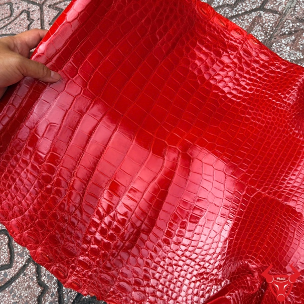 Da Cá Sấu Size 5 Nhỏ Bóng Kính Màu Đỏ Vân Đẹp Da cá sấu bóng kính size 5 nhỏ màu đỏ với hệ vân đều và sắc nét.
