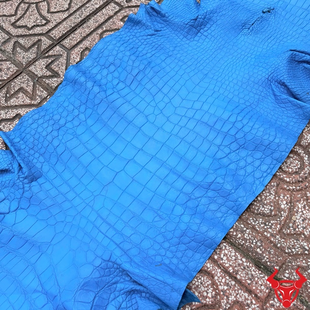 Da Cá Sấu Size 5 Nhỏ Xanh Dương Chế Tác Phụ Kiện Cao Cấp Da cá sấu Thái Lan size 5 nhỏ bỏ gai màu xanh dương dùng làm ví, túi và phụ kiện da.