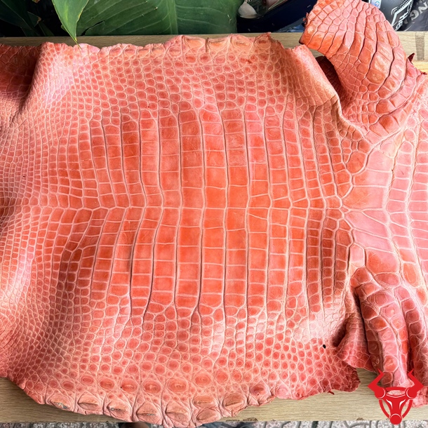 Da Cá Sấu Bóng Kính Màu Xanh Dương Vân Đều Size 5X Tấm da cá sấu bóng kính màu xanh dương size 5X bỏ gai chất lượng cao.