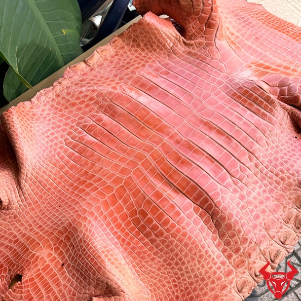 Da Cá Sấu Bỏ Gai Size 5X Màu Xanh Dương Bền Đẹp Da cá sấu size 5X bỏ gai màu xanh dương dùng chế tác ví, túi và phụ kiện.