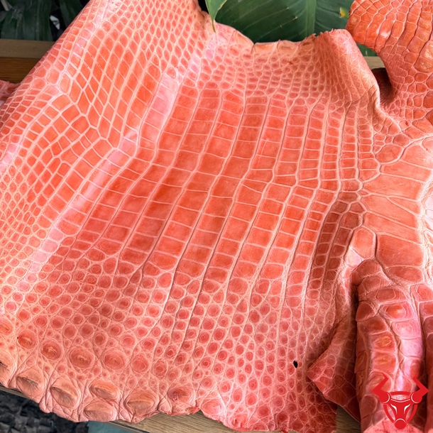 Da Cá Sấu Bóng Kính Xanh Dương Dễ Thiết Kế Đồ Da Da cá sấu bóng kính màu xanh dương size 5X với đường vân đều và bề mặt sáng bóng.