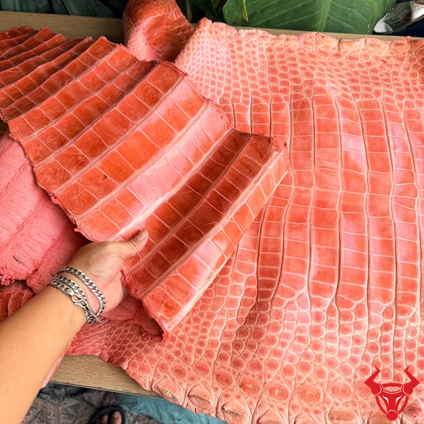 Da Cá Sấu Size 5X Màu Xanh Dương Chế Tác Phụ Kiện Cao Cấp Da cá sấu bóng kính size 5X màu xanh dương cao cấp với vân đẹp tự nhiên.